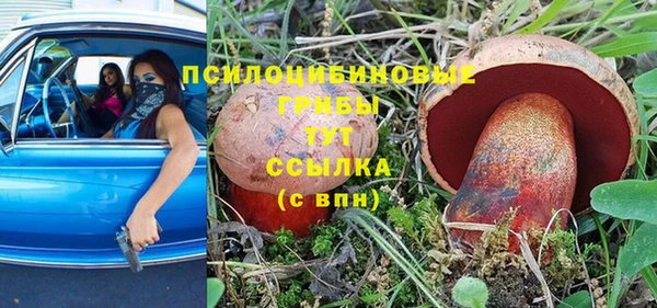 амфетамин Алексеевка